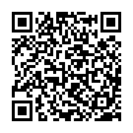 QR code for SPP595