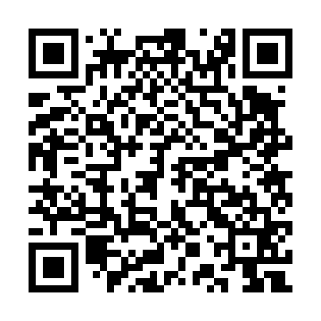 QR code for SPR461