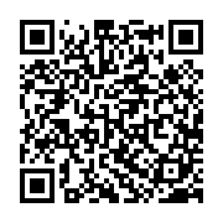 QR code for SPT041