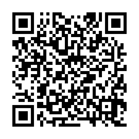 QR code for SPV137