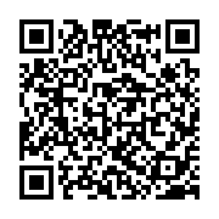 QR code for SPV318