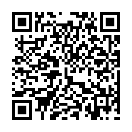QR code for SPV391