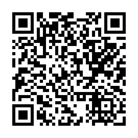 QR code for SPX493