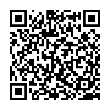QR code for SPY161