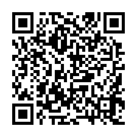 QR code for SPY398