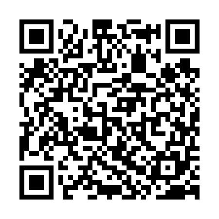 QR code for SPY655