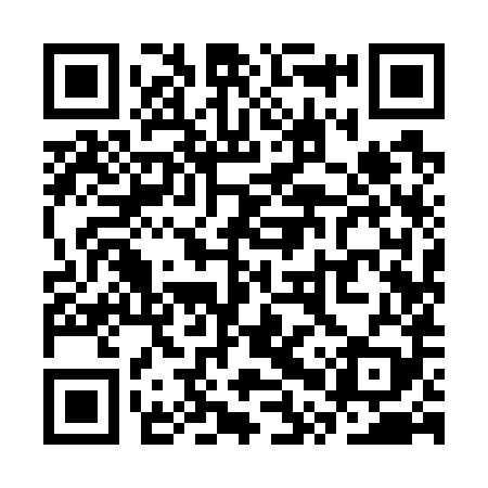 QR code for SPY789