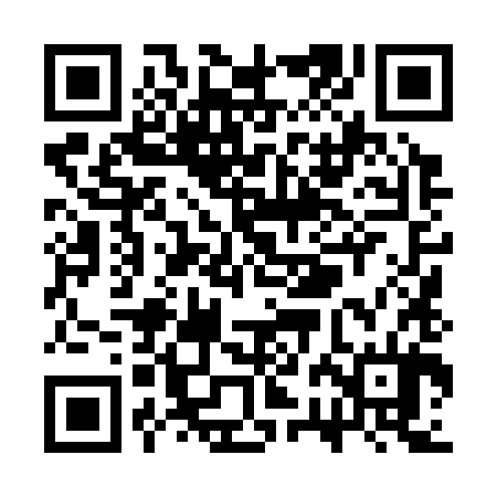 QR code for SRL384