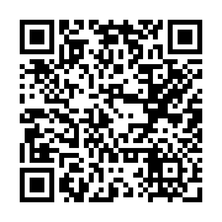 QR code for SRQ336