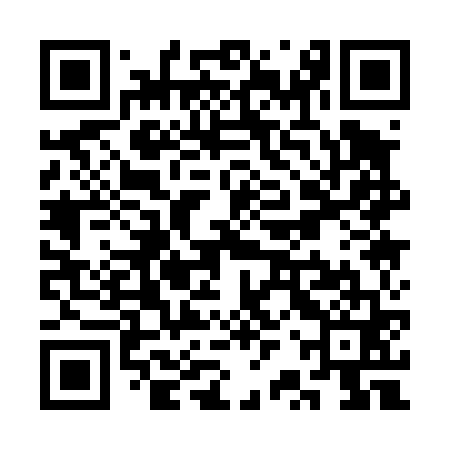 QR code for SRQ461