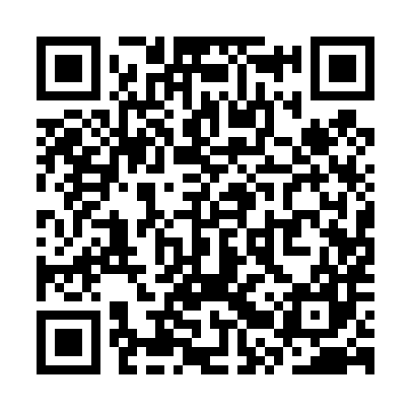 QR code for SRQ487