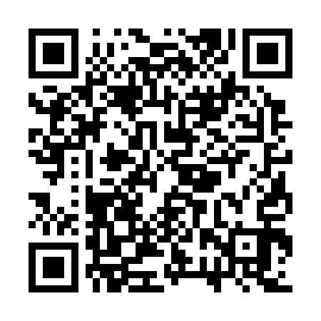 QR code for SRS313
