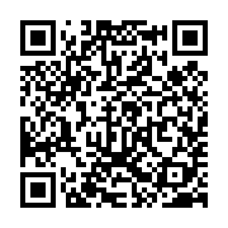 QR code for SRS489