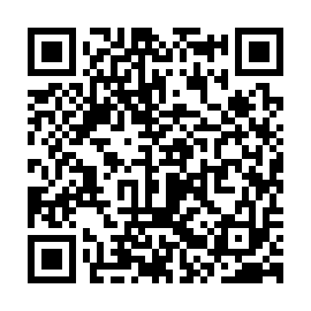 QR code for SRY313