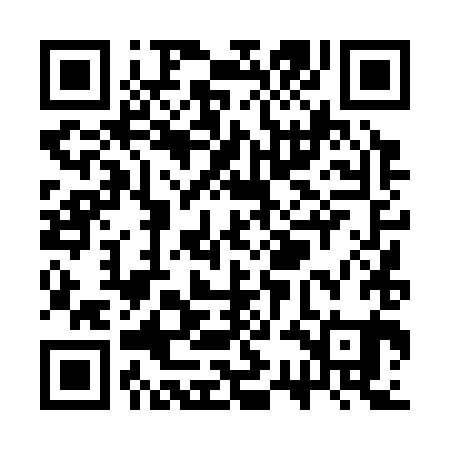 QR code for SSD381