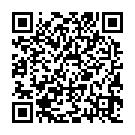 QR code for SSE333