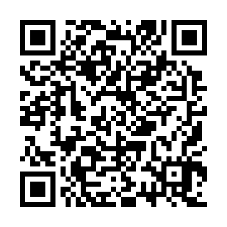 QR code for SSI307