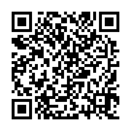 QR code for SSI314