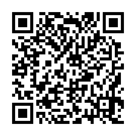QR code for SSI374