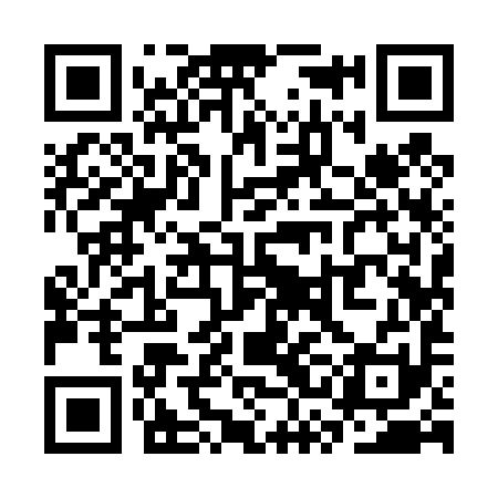 QR code for SSI491