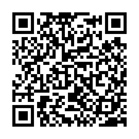 QR code for SSI601