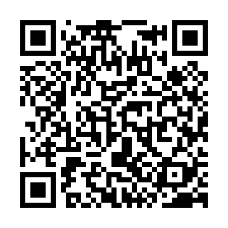 QR code for SSM029