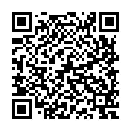 QR code for SSP993