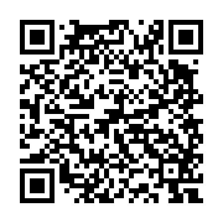 QR code for SSR486