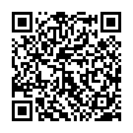 QR code for SSX030