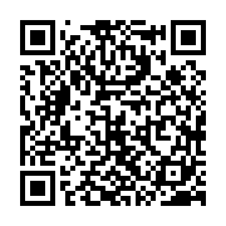 QR code for SSX161