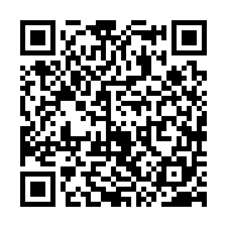 QR code for SSX355