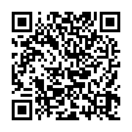 QR code for SSX968
