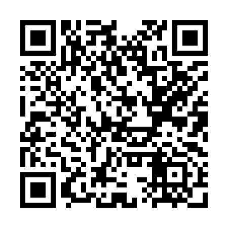 QR code for SSX993