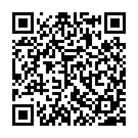 QR code for STE295