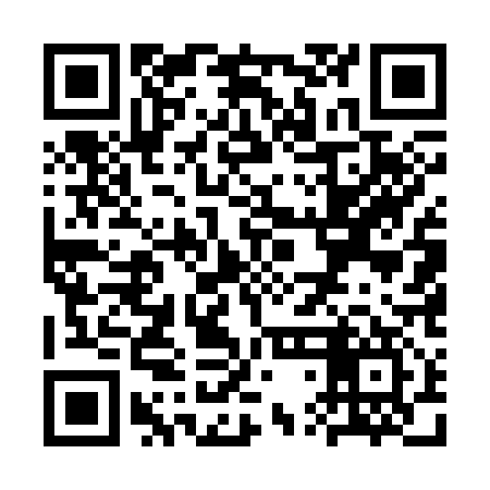 QR code for STE317