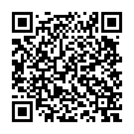 QR code for STG463