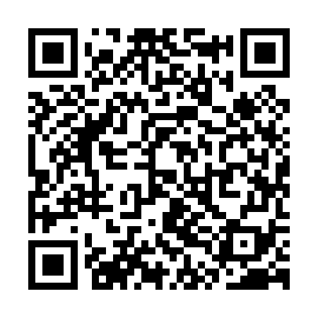 QR code for STI079