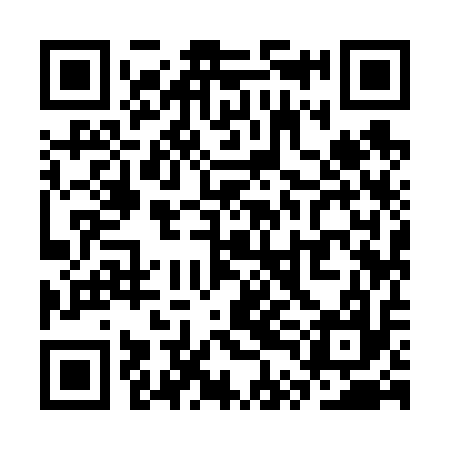 QR code for STI617