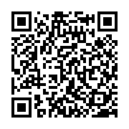 QR code for STM029