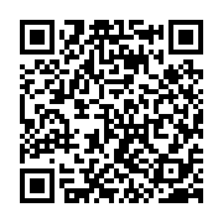 QR code for STM218