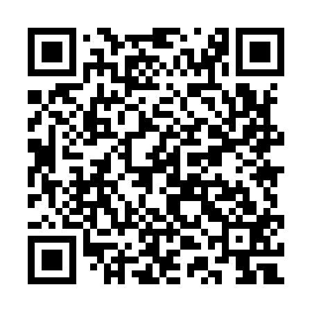 QR code for STM913