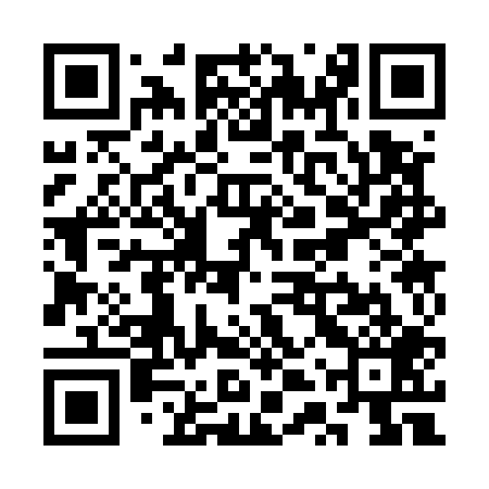 QR code for STS509