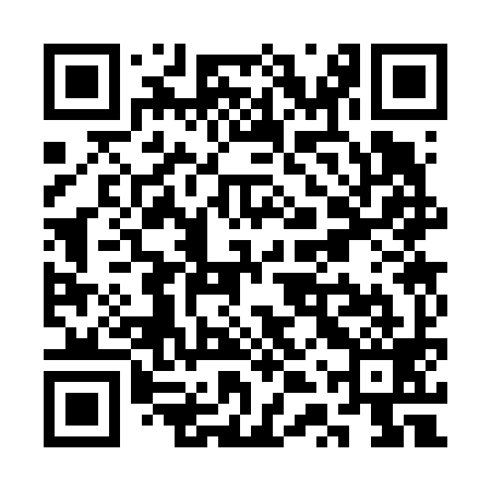 QR code for STS699