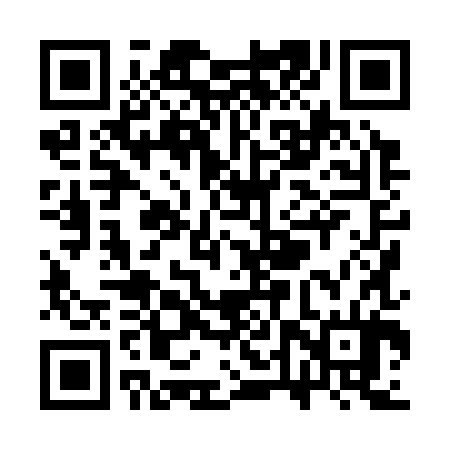 QR code for STX384