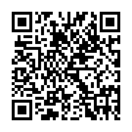 QR code for STZ991