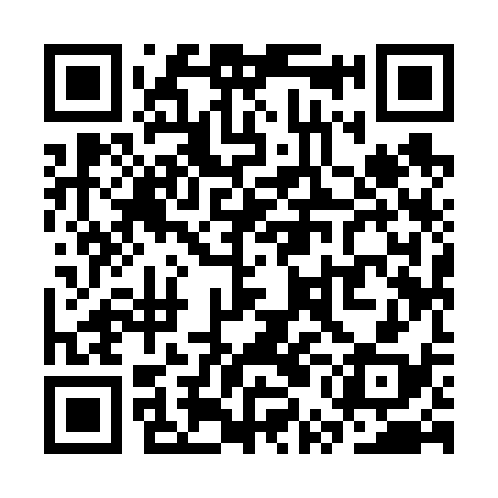 QR code for SUI638