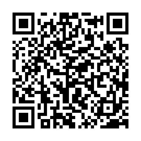 QR code for SUP333