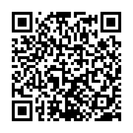 QR code for SVG398