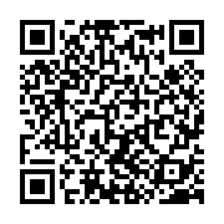 QR code for SVN079