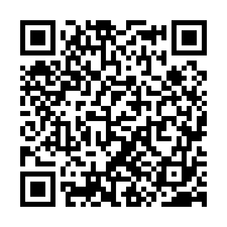 QR code for SVN173